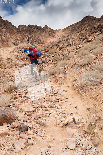 Image of Trekking in Negev dramatic stone desert, Israel 