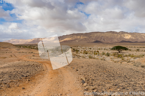 Image of Trekking in Negev dramatic stone desert, Israel 