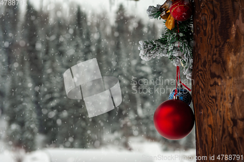 Image of Ready for New year