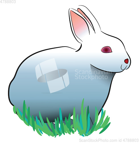 Image of White rabbit with bunny ears vector or color illustration