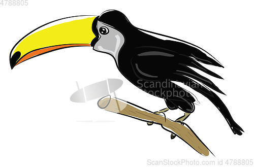 Image of Bird with long yellow beak, vector color illustration.