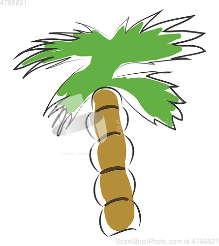 Image of Palm tree vector illustration on white background 