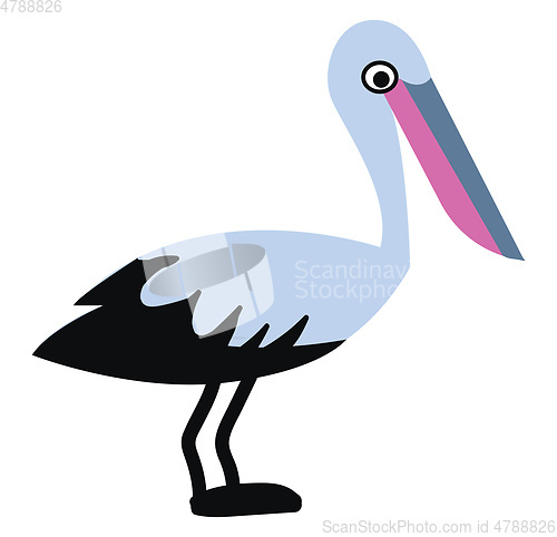 Image of Water bird pelican with a colorful long beak vector color drawin