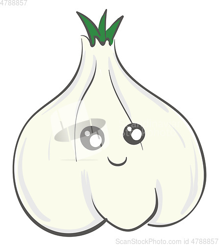 Image of Cute smiling white garlic vector illustration on white backgroun
