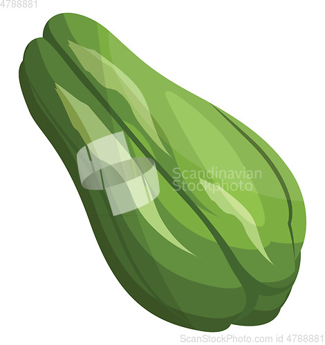 Image of Green cartoon chokos vector illustration of vegetables on white 