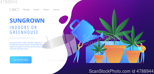 Image of Cannabis cultivation concept landing page.