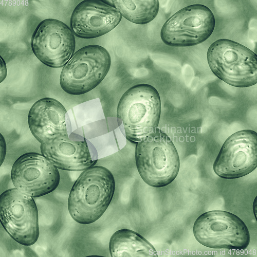 Image of bacteria and germs seamless texture