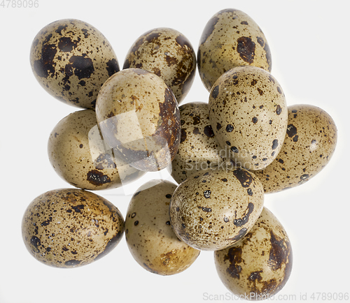 Image of some quail eggs