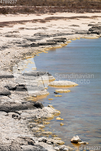 Image of Stromatolites Lake Thetis Western Australia