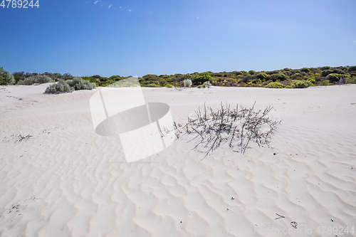 Image of white dune sand scenery western Australia