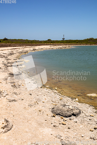 Image of Stromatolites Lake Thetis Western Australia