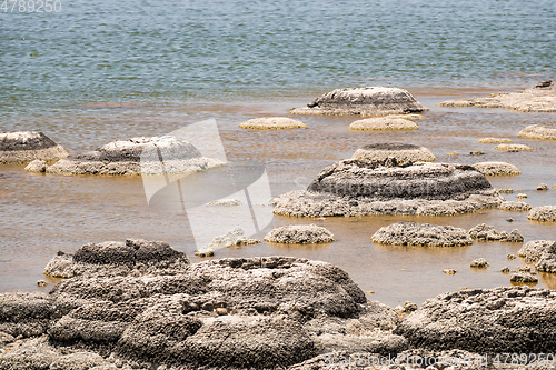 Image of Stromatolites Lake Thetis Western Australia