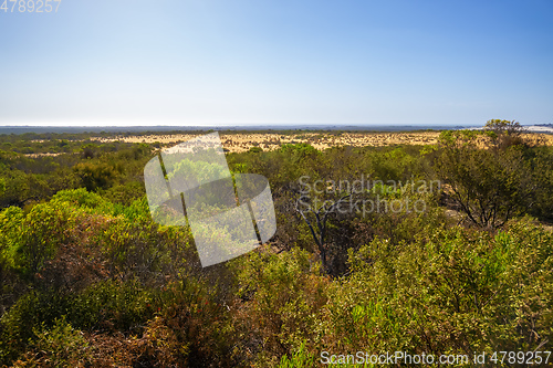 Image of Pinnacles sand desert Western Australia