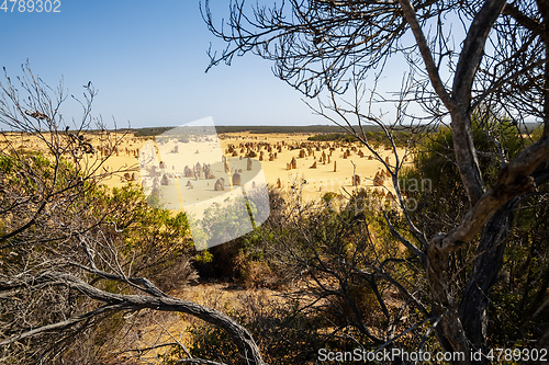 Image of Pinnacles sand desert Western Australia