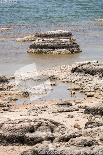 Image of Stromatolites Lake Thetis Western Australia