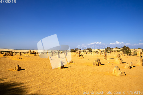 Image of Pinnacles sand desert Western Australia