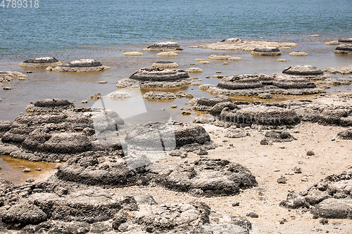 Image of Stromatolites Lake Thetis Western Australia