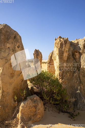 Image of Pinnacles sand desert Western Australia