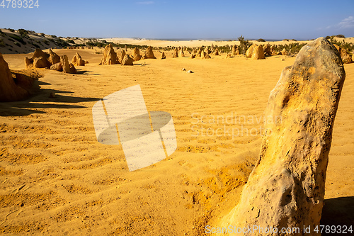 Image of Pinnacles sand desert Western Australia