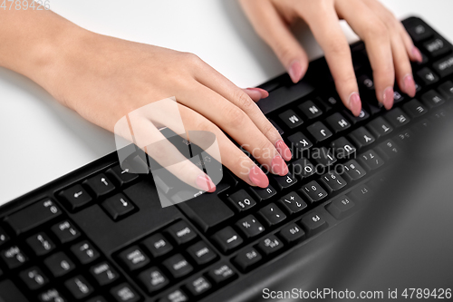 Image of female hands typing on computer keyboard on table