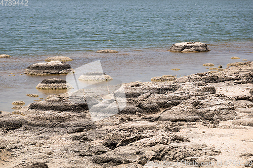 Image of Stromatolites Lake Thetis Western Australia