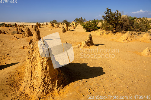 Image of Pinnacles sand desert Western Australia