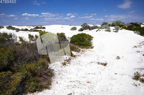 Image of white dune sand scenery western Australia
