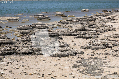 Image of Stromatolites Lake Thetis Western Australia