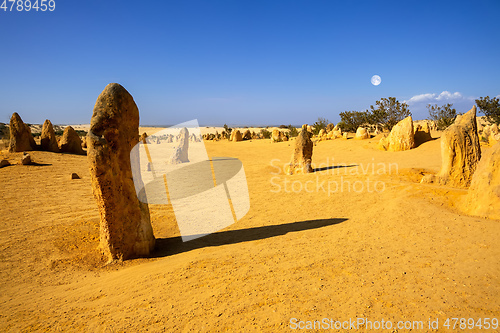 Image of Pinnacles sand desert Western Australia