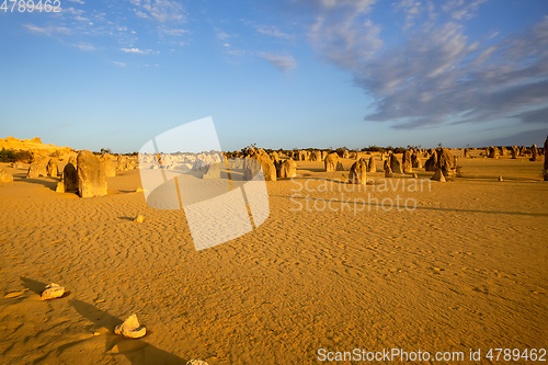 Image of Pinnacles sand desert Western Australia
