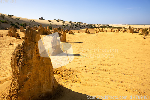 Image of Pinnacles sand desert Western Australia