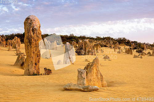 Image of Pinnacles Desert in western Australia