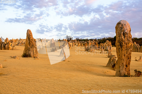 Image of Pinnacles Desert in western Australia