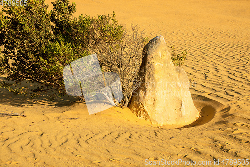 Image of Pinnacles Desert in western Australia