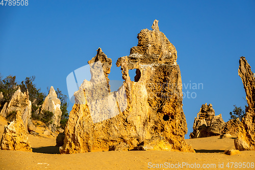 Image of Pinnacles Desert in western Australia