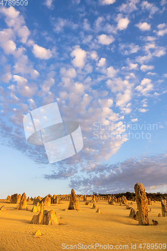 Image of Pinnacles Desert in western Australia