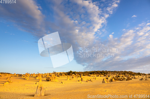 Image of Pinnacles Desert in western Australia