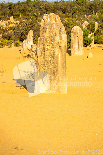 Image of Pinnacles Desert in western Australia