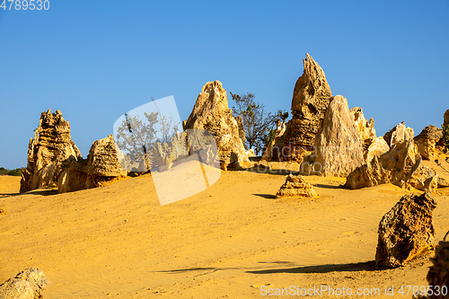 Image of Pinnacles Desert in western Australia