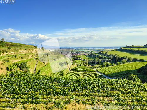 Image of beautiful scenery at Kaiserstuhl Germany