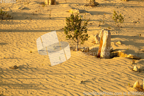 Image of Pinnacles Desert in western Australia