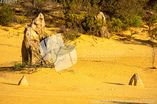 Image of Pinnacles Desert in western Australia