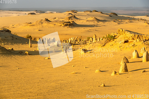 Image of Pinnacles Desert in western Australia