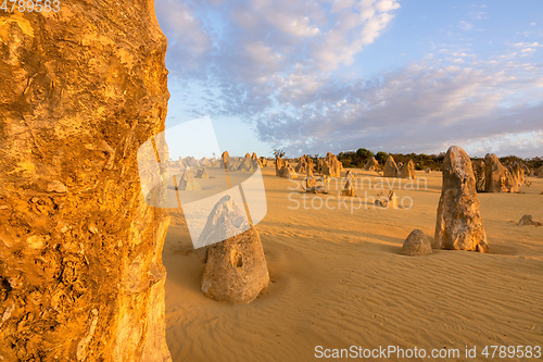 Image of Pinnacles Desert in western Australia