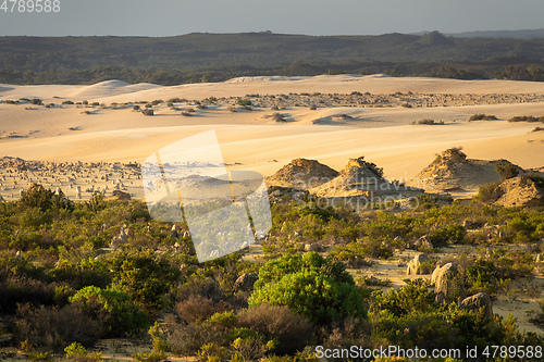 Image of Pinnacles Desert in western Australia