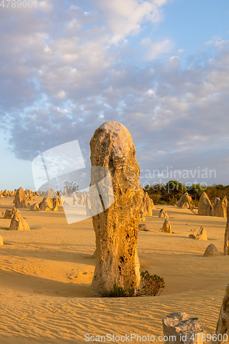 Image of Pinnacles Desert in western Australia