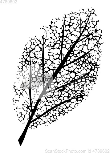 Image of dead leaf symbol of grief