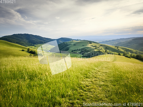 Image of green meadow with path to the horizon