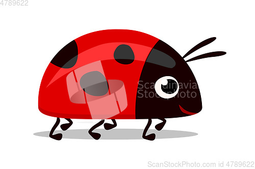 Image of sweet red lady bug