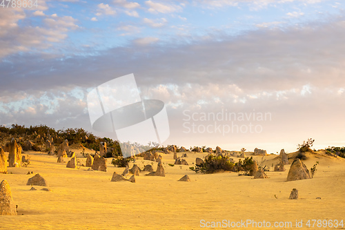 Image of Pinnacles Desert in western Australia